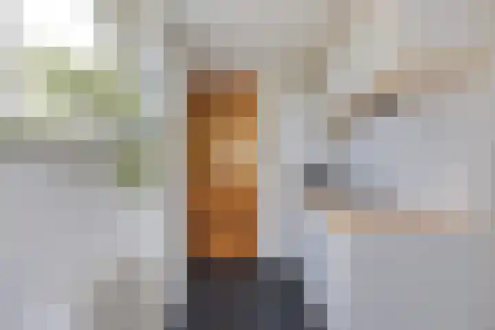 Koningsweg 71 Hippolytushoef thumbnail 16