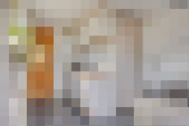 Koningsweg 71 Hippolytushoef thumbnail 18