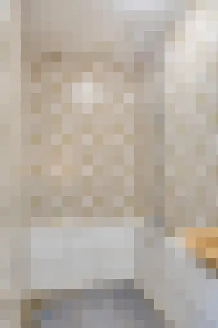 Koningsweg 71 Hippolytushoef thumbnail 20