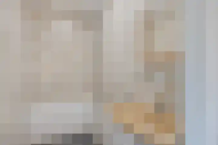 Koningsweg 71 Hippolytushoef thumbnail 21
