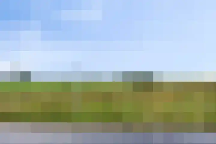 Koningsweg 71 Hippolytushoef thumbnail 22