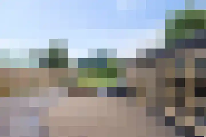 Koningsweg 71 Hippolytushoef thumbnail 27