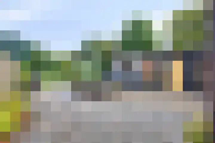 Koningsweg 71 Hippolytushoef thumbnail 28