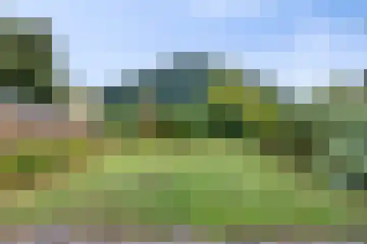 Koningsweg 71 Hippolytushoef thumbnail 30