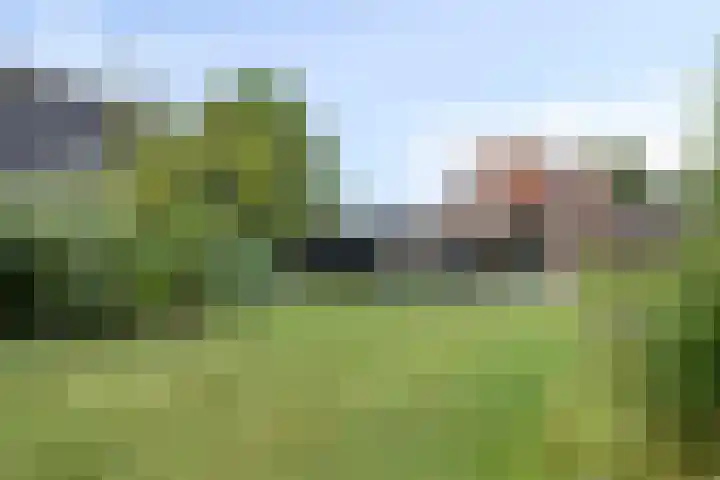 Koningsweg 71 Hippolytushoef thumbnail 31
