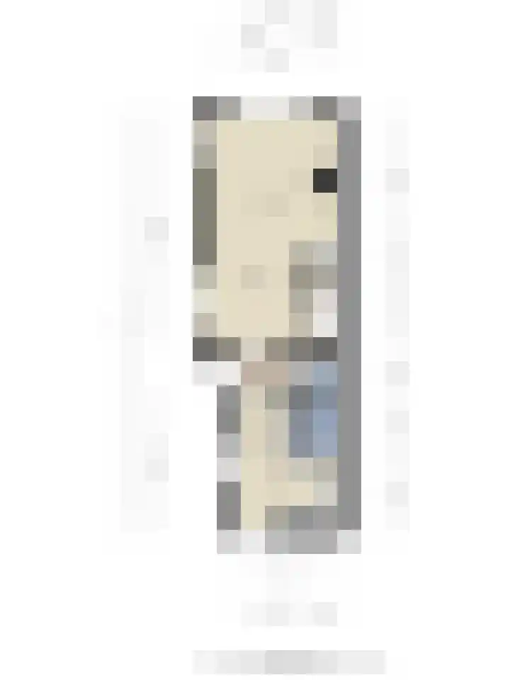 Koningsweg 71 Hippolytushoef thumbnail 33