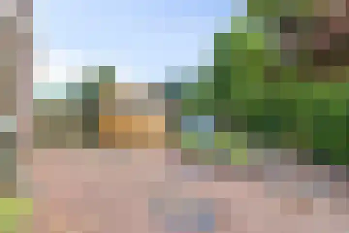 Koningsweg 71 Hippolytushoef thumbnail 4