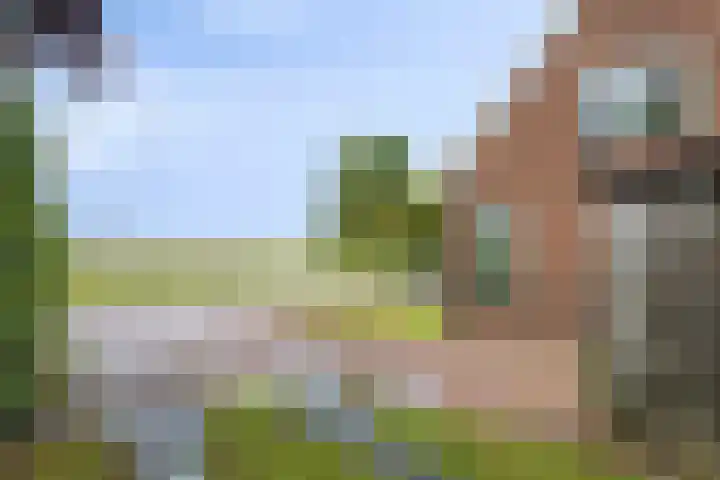 Koningsweg 71 Hippolytushoef thumbnail 5