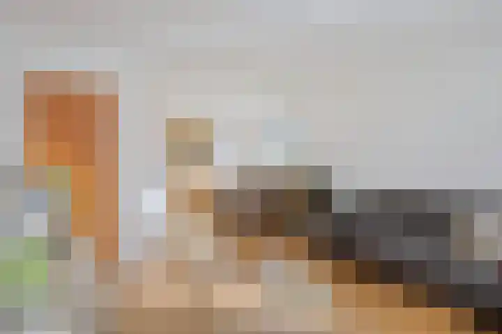Koningsweg 71 Hippolytushoef thumbnail 8