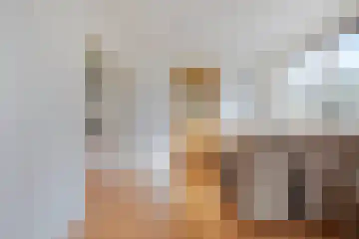 Koningsweg 71 Hippolytushoef thumbnail 9