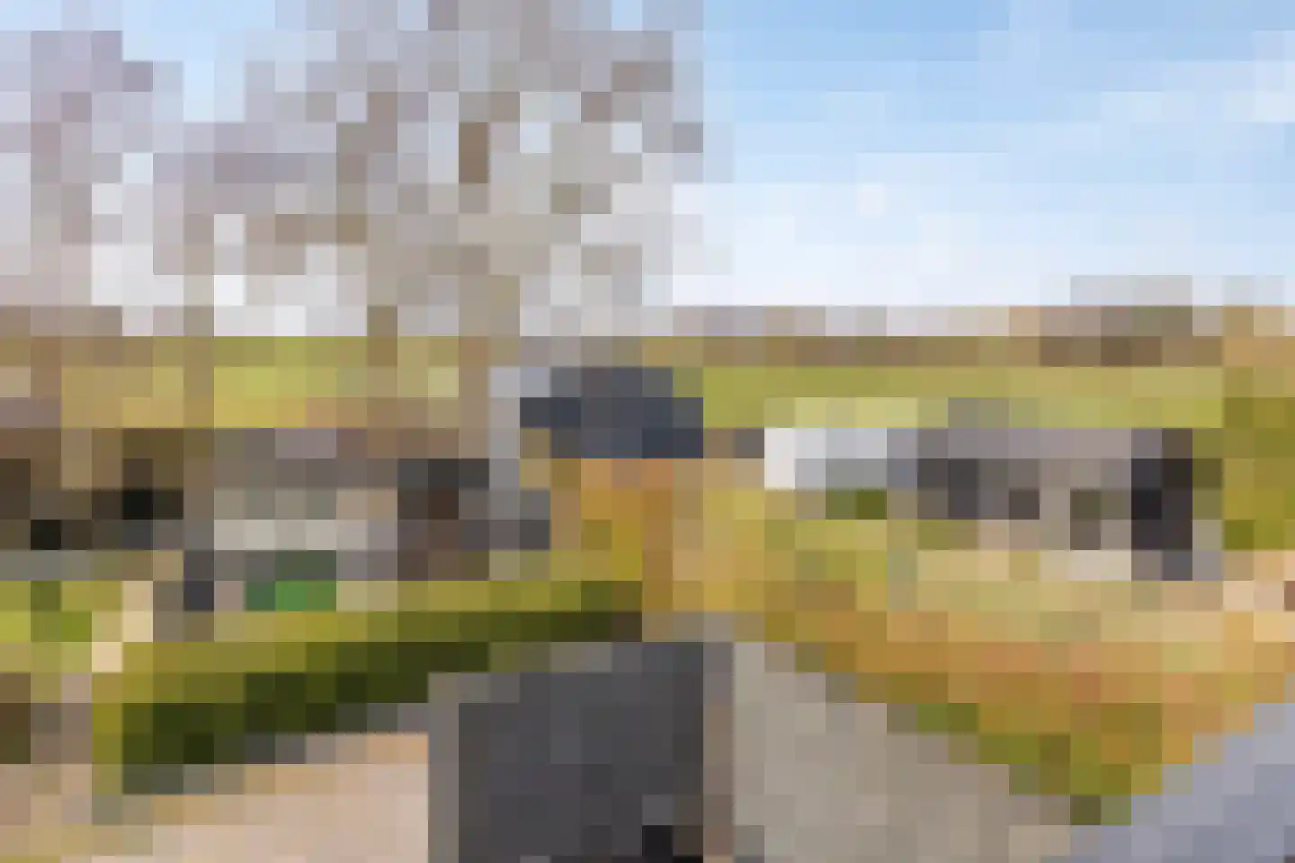 Koningsweg 72 Akersloot thumbnail 53