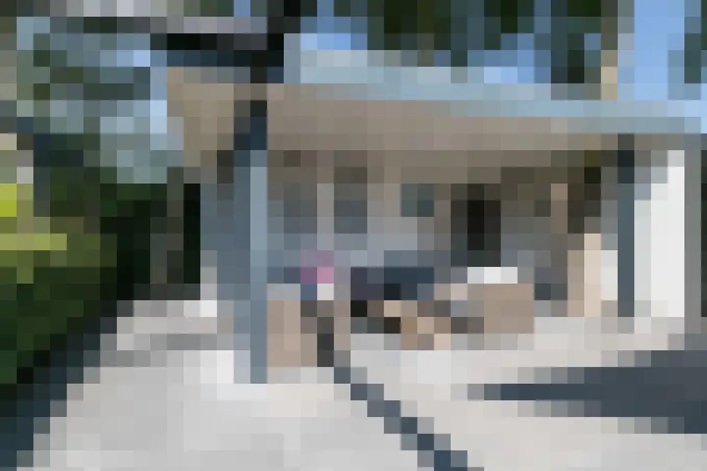 Koningsweg 72 Akersloot thumbnail 65
