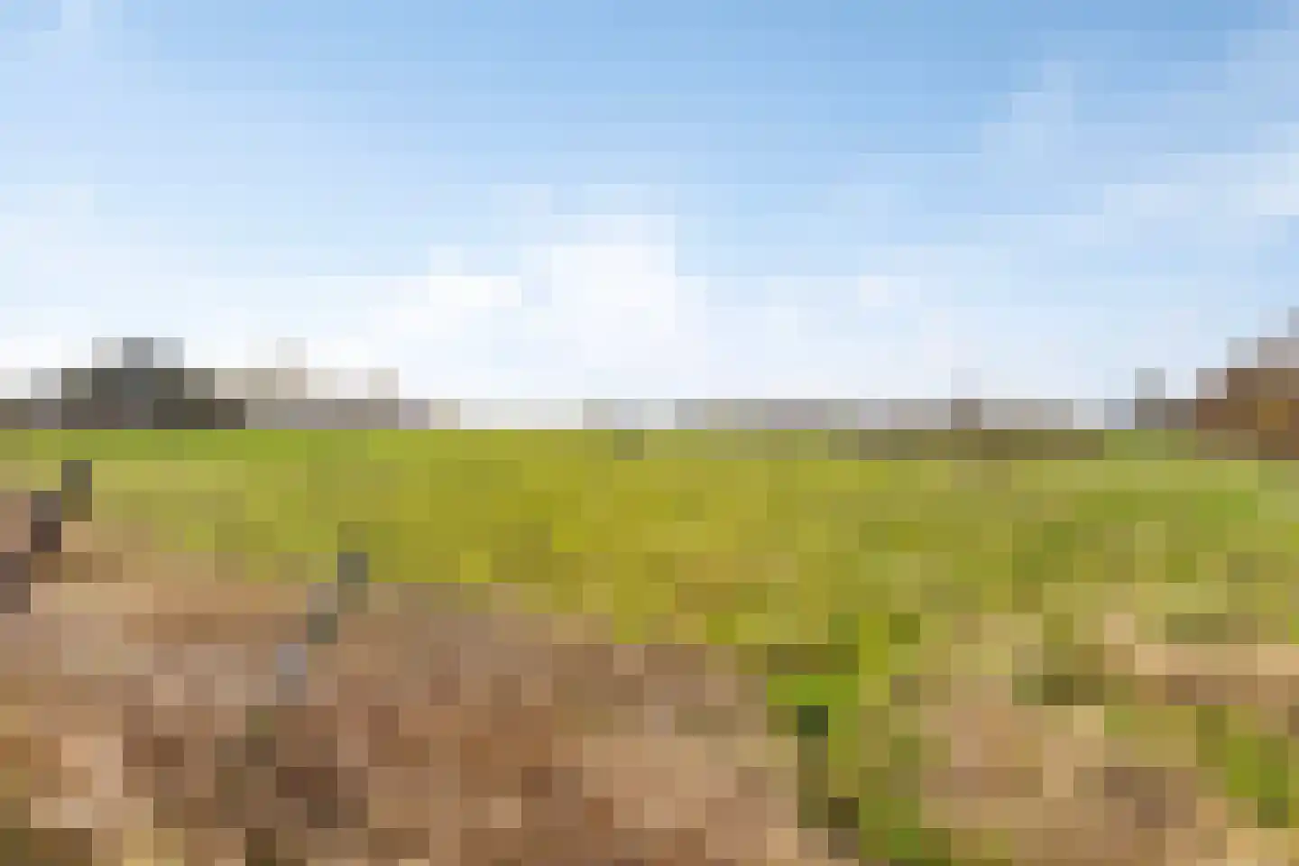 Koningsweg 72 Akersloot thumbnail 79