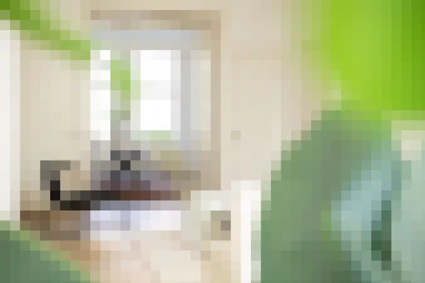 Koningsweg 72 's-Hertogenbosch thumbnail 13
