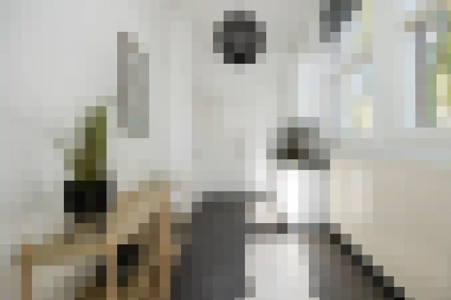 Koningsweg 72 's-Hertogenbosch thumbnail 18