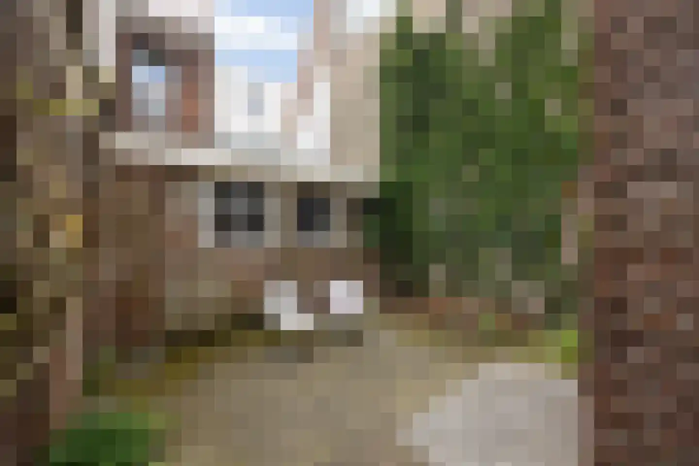 Koningsweg 72 's-Hertogenbosch thumbnail 19