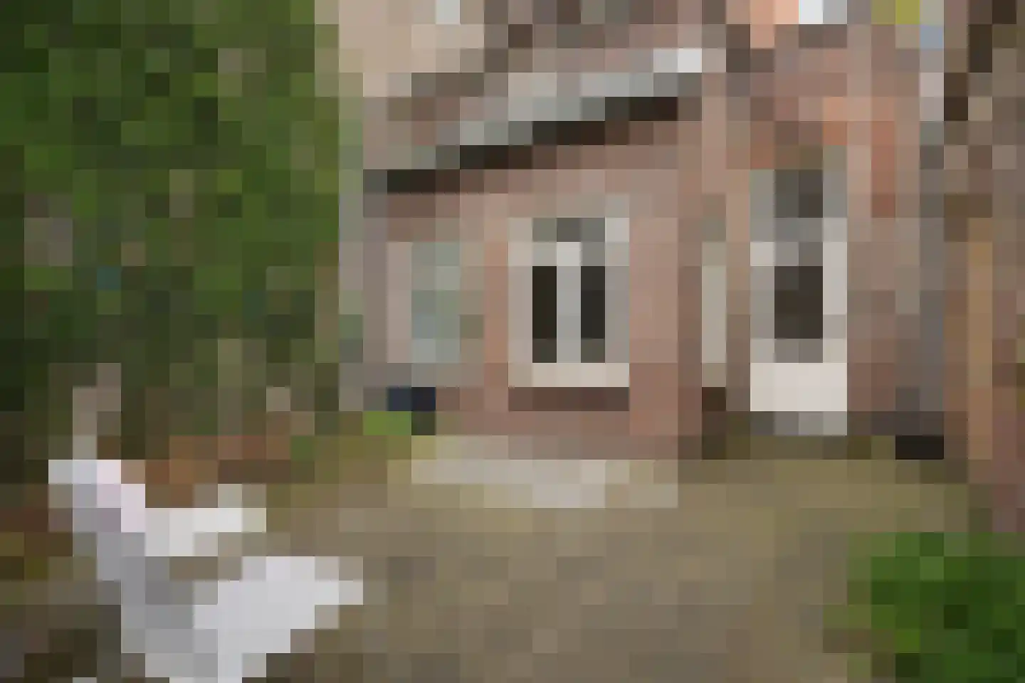Koningsweg 72 's-Hertogenbosch thumbnail 20