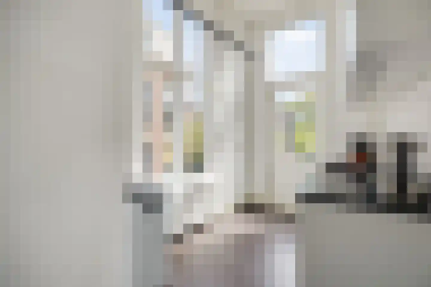 Koningsweg 72 's-Hertogenbosch thumbnail 29