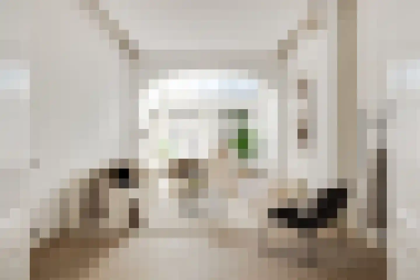 Koningsweg 72 's-Hertogenbosch thumbnail 4