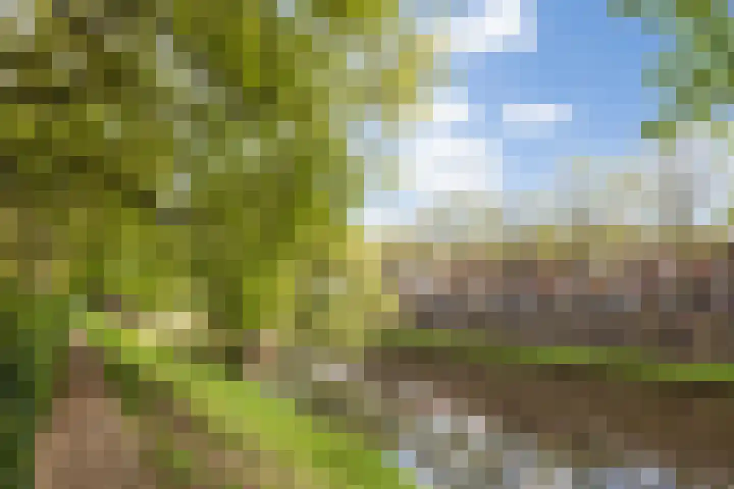 Koningsweg 72 's-Hertogenbosch thumbnail 45