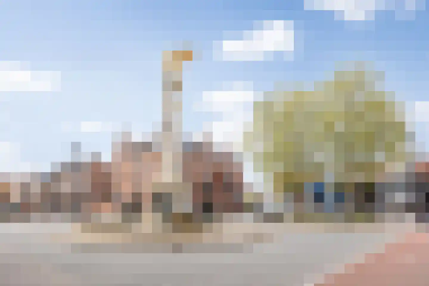 Koningsweg 72 's-Hertogenbosch thumbnail 49