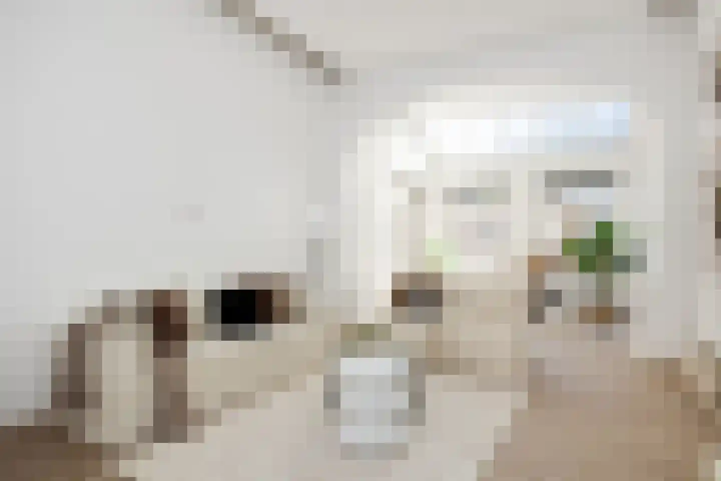 Koningsweg 72 's-Hertogenbosch thumbnail 6