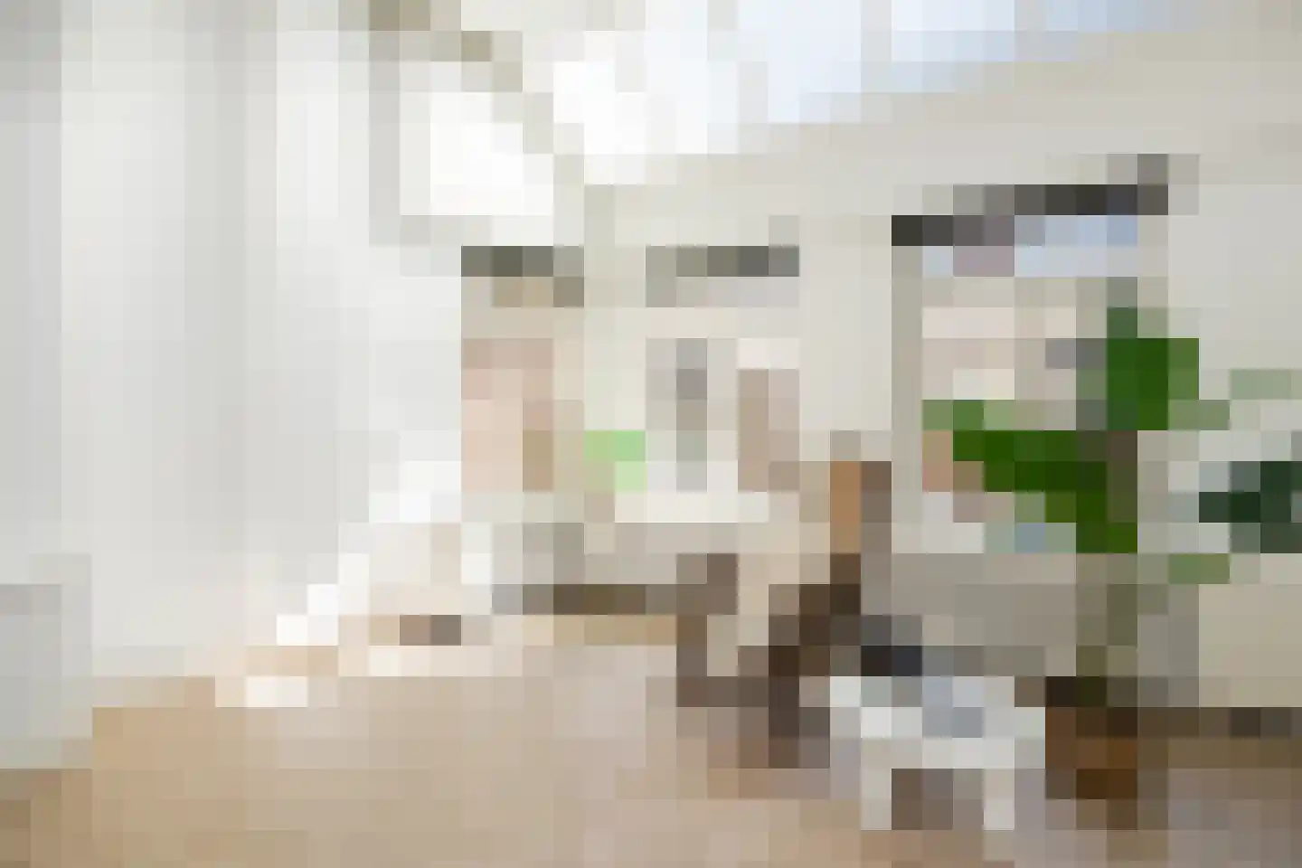 Koningsweg 72 's-Hertogenbosch thumbnail 8