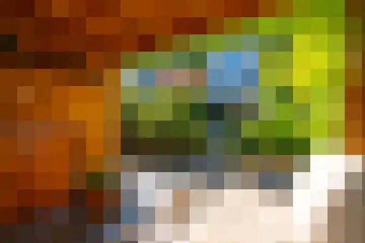 Koningsweg 82 Utrecht thumbnail 23