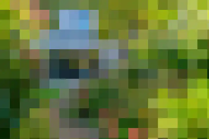 Koningsweg 82 Utrecht thumbnail 25