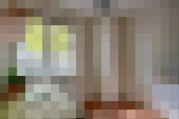 Koningsweg 82 Utrecht thumbnail 30