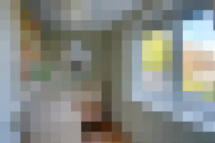 Koningsweg 82 Utrecht thumbnail 31