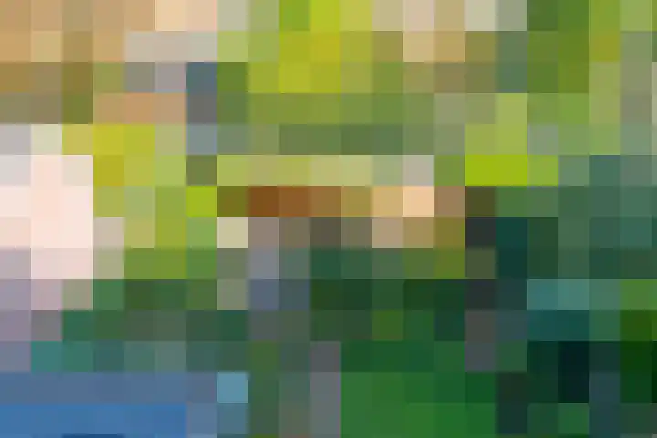 Koningsweg 82 Utrecht thumbnail 37