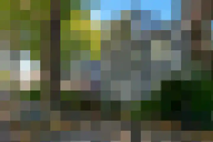 Koningsweg 82 Utrecht thumbnail 6