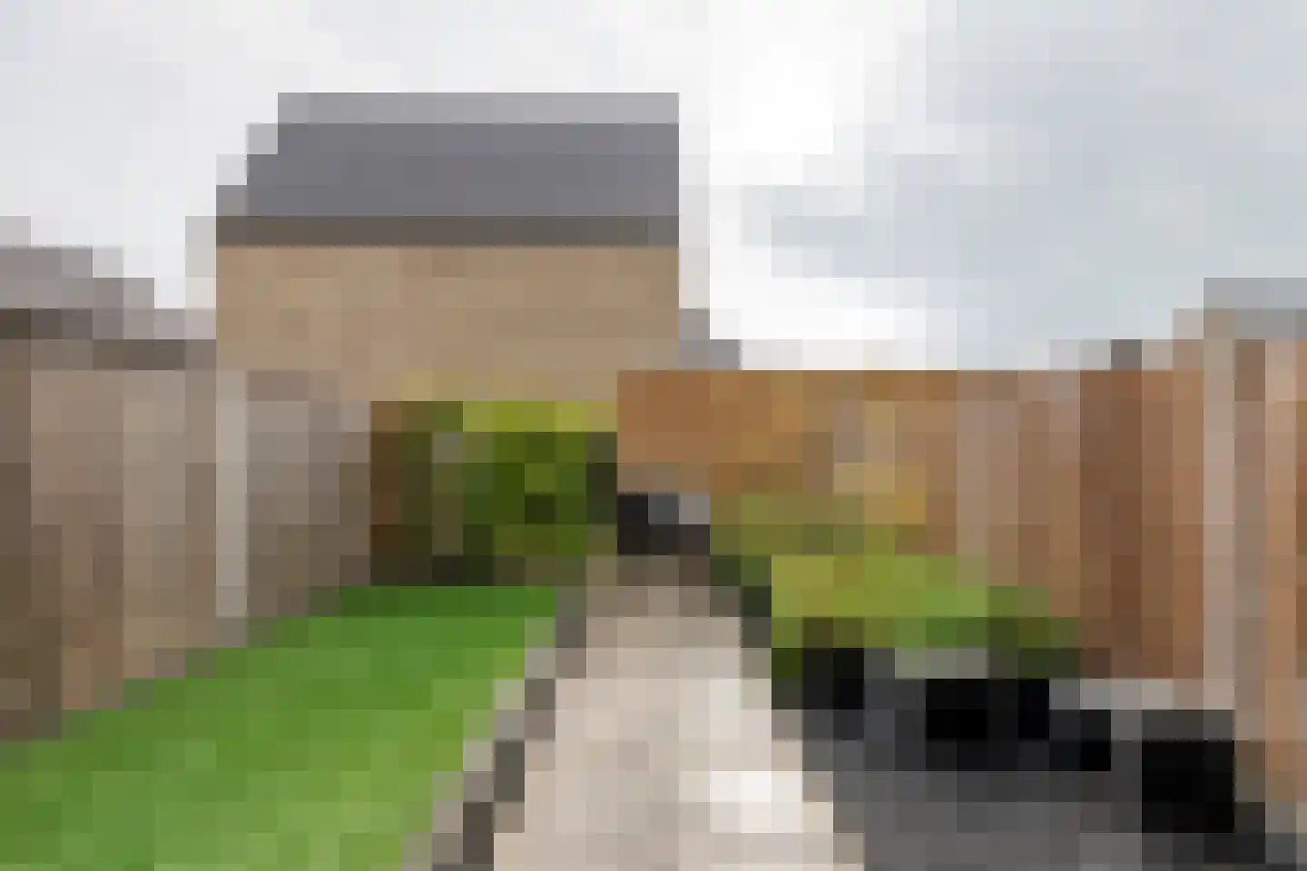 Koningsweg 87 Puiflijk thumbnail 17