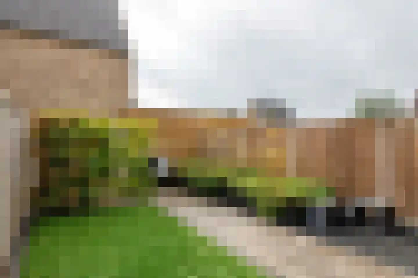Koningsweg 87 Puiflijk thumbnail 18