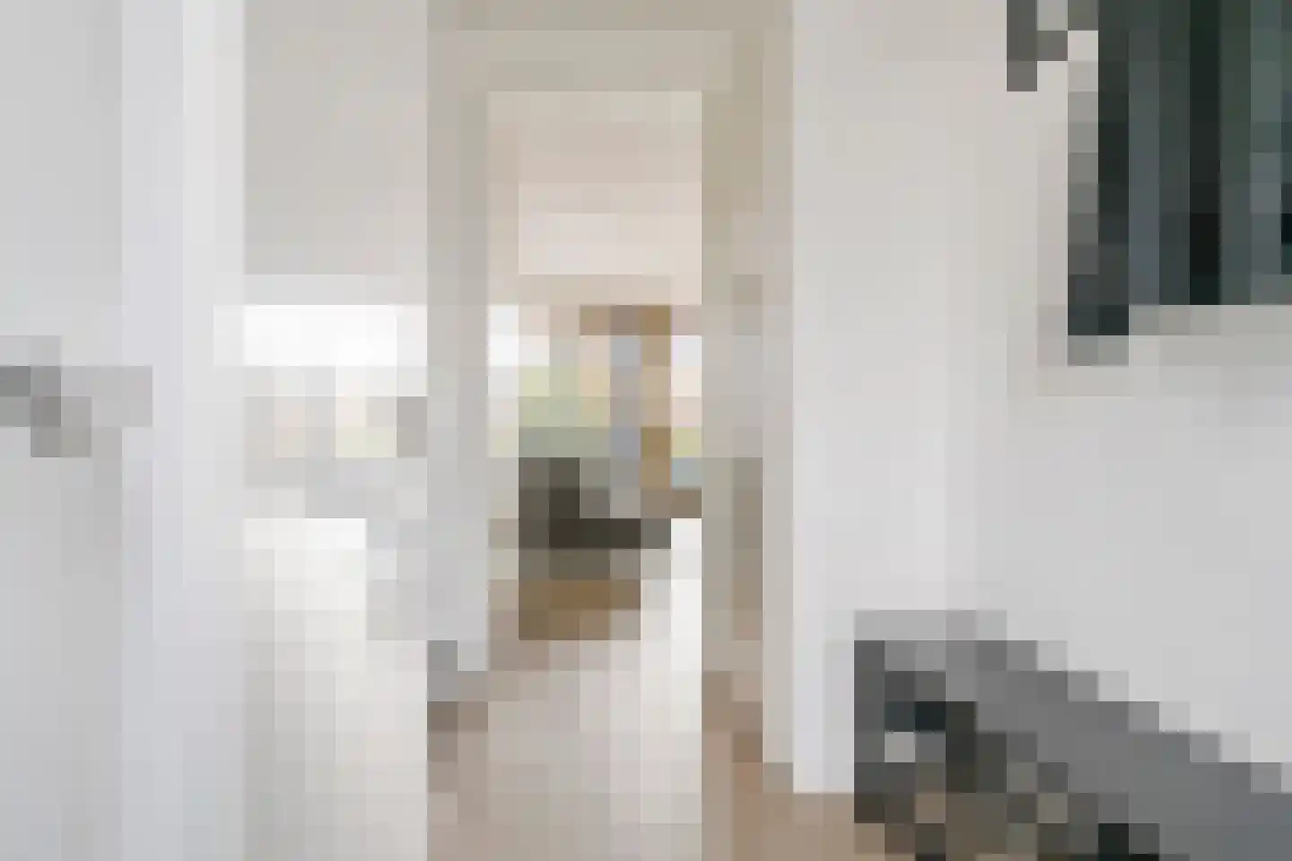 Koningsweg 87 Puiflijk thumbnail 21