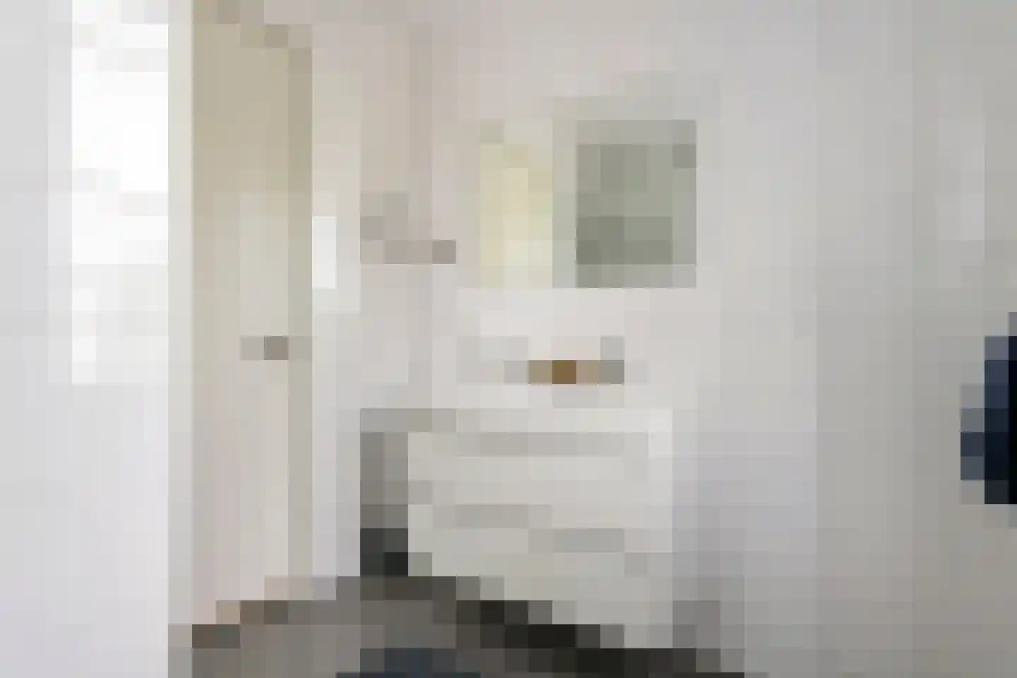 Koningsweg 87 Puiflijk thumbnail 26
