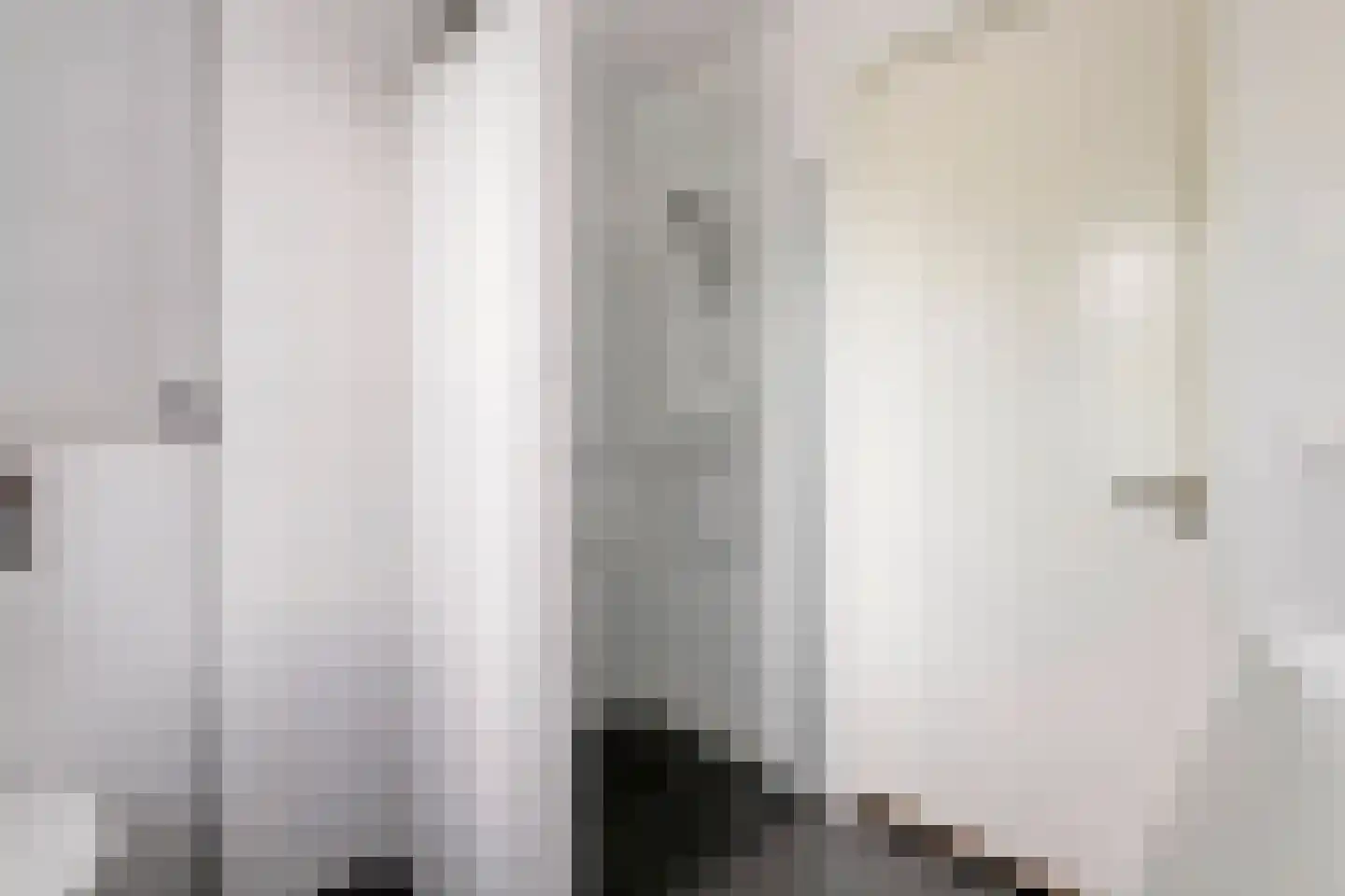 Koningsweg 87 Puiflijk thumbnail 27