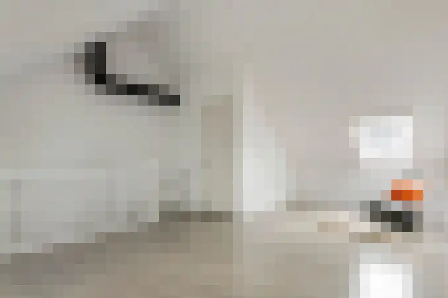 Koningsweg 87 Puiflijk thumbnail 34