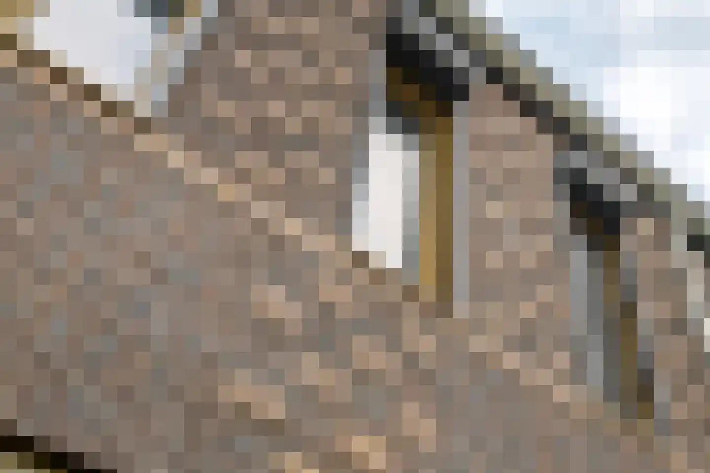 Koningsweg 87 Puiflijk thumbnail 36