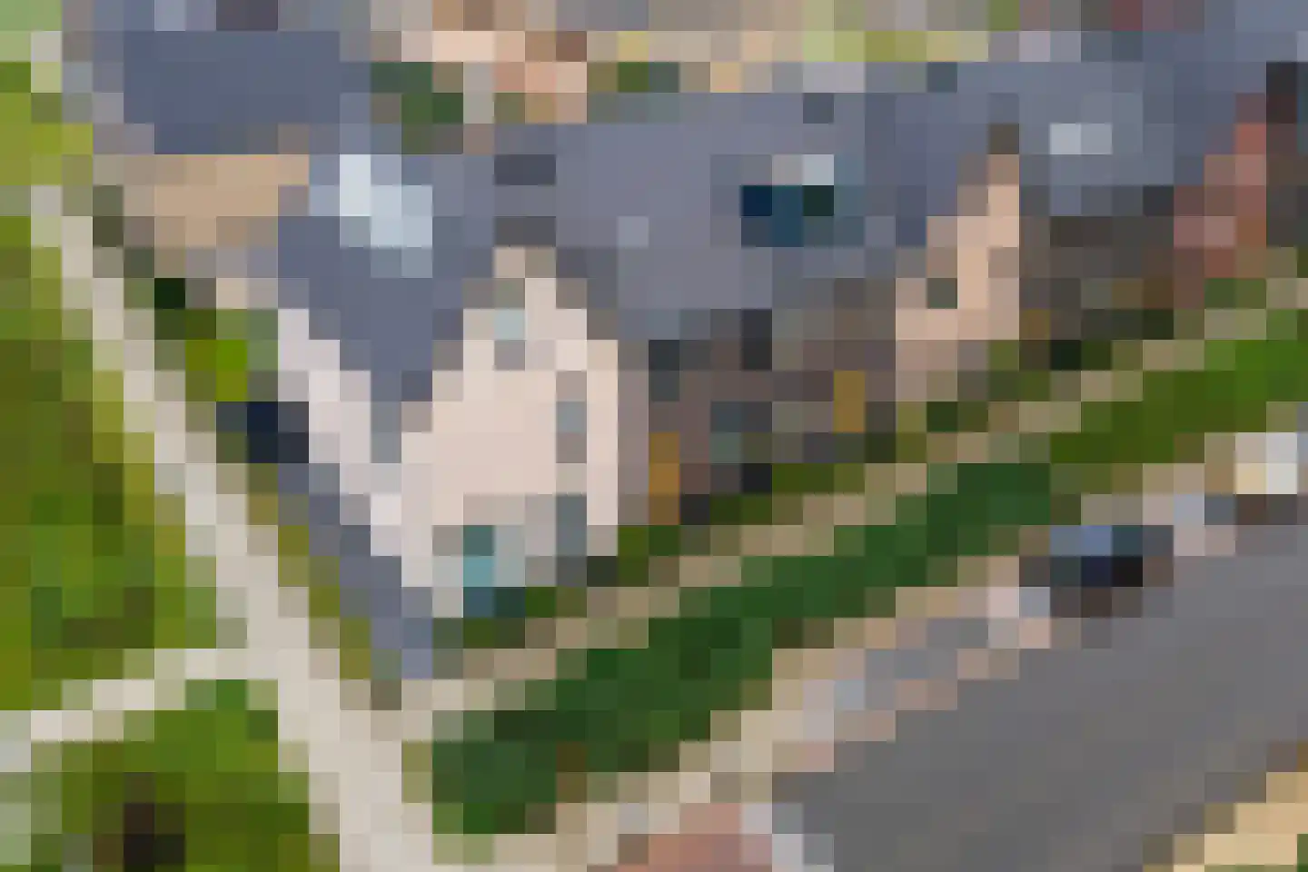 Koningsweg 87 Puiflijk thumbnail 40