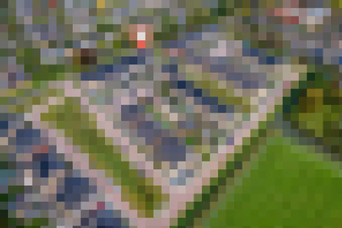 Koningsweg 87 Puiflijk thumbnail 42