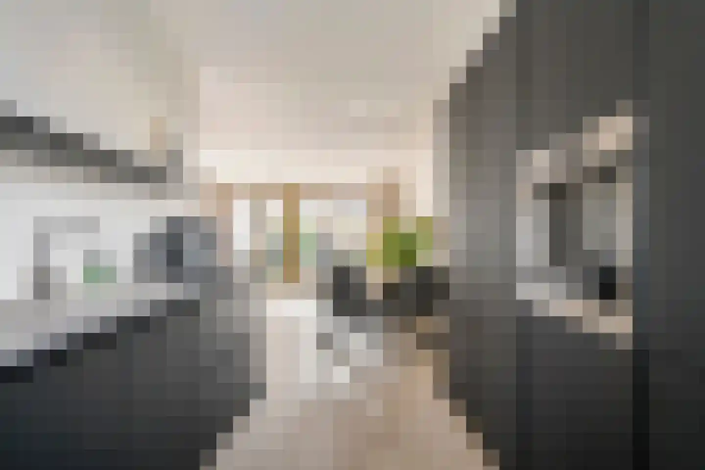Koningsweg 87 Puiflijk thumbnail 5