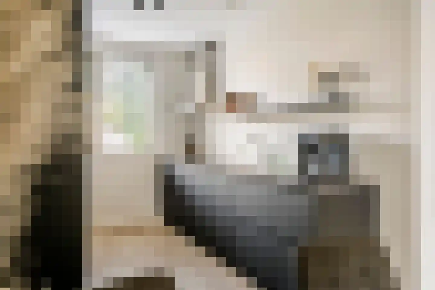 Koningsweg 87 Puiflijk thumbnail 8