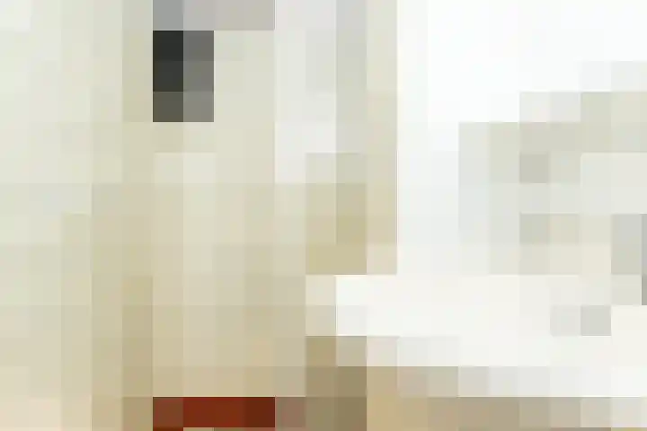 Koningsweg 9 Westerland thumbnail 15