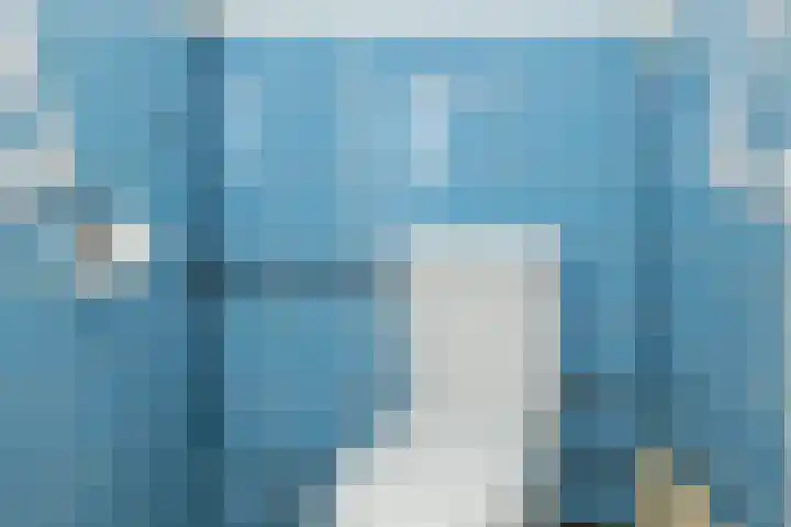 Koningsweg 9 Westerland thumbnail 16
