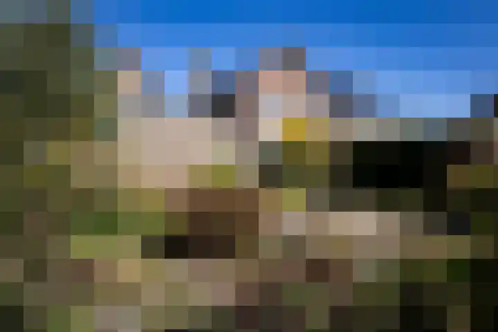 Koningsweg 9 Westerland thumbnail 26