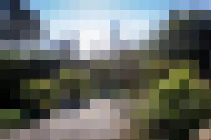 Koningsweg 9 Westerland thumbnail 28