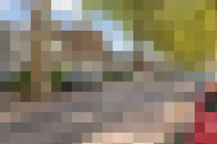 Koningsweg 90 Utrecht thumbnail 7