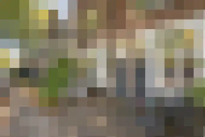 Koningsweg 90 Utrecht thumbnail 8
